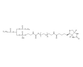 二油酰磷脂酰乙醇胺PEG生物素DOPE-PEG-BIOTIN；二油酰磷脂酰乙醇胺聚乙二醇生物素 