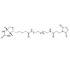 生物素PEG马来酰亚胺Biotin-PEG-Maleimide，Biotin-PEG-MAL,;生物素聚乙二醇马来酰亚胺 