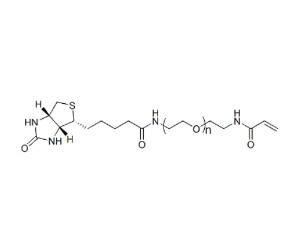 丙烯酰胺PEG生物素AcA-PEG-BIOTIN，ACA-PEG-BIOTIN,丙烯酰胺聚乙二醇生物素 