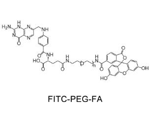 荧光素PEG叶酸FITC-PEG-Folic acid，FITC-PEG-FA,荧光素聚乙二醇叶酸 